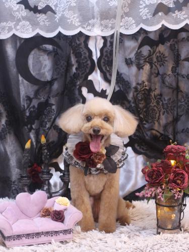 20231019うたちゃん